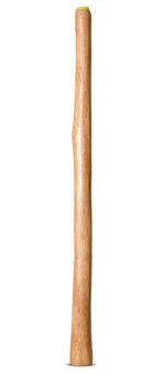 Medium Size Natural Finish Didgeridoo (TW1716)